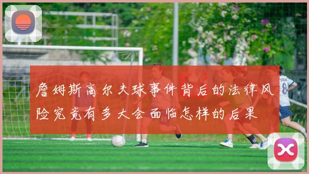 詹姆斯高尔夫球事件背后的法律风险究竟有多大会面临怎样的后果