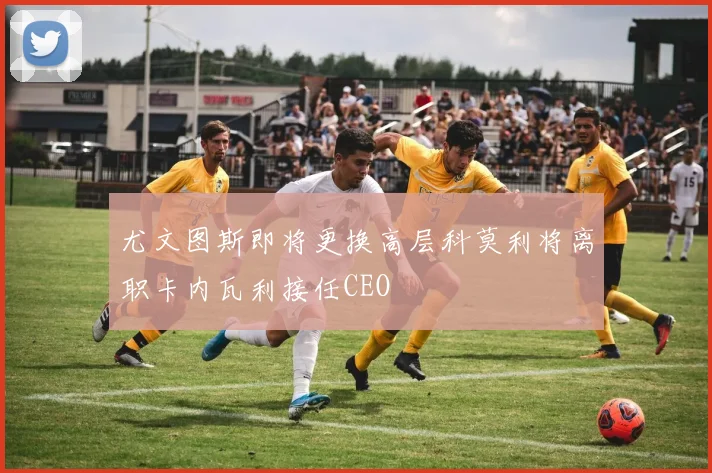 尤文图斯即将更换高层科莫利将离职卡内瓦利接任CEO