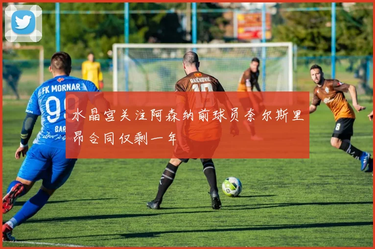 水晶宫关注阿森纳前球员奈尔斯里昂合同仅剩一年