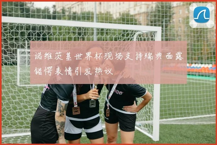 诺维茨基世界杯现场支持瑞典面露错愕表情引发热议